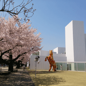 Towada Modern Art Museum