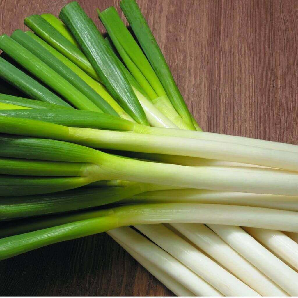 Green Onion / TOWADA CITY