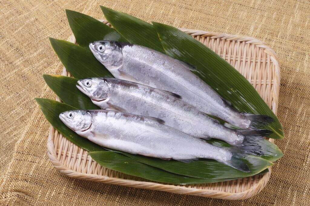 Lake Towada Kokanee (Sockeye Salmon)