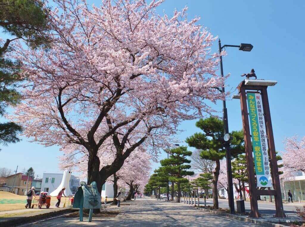 Towada City Government Office Street (Koma-kaido)