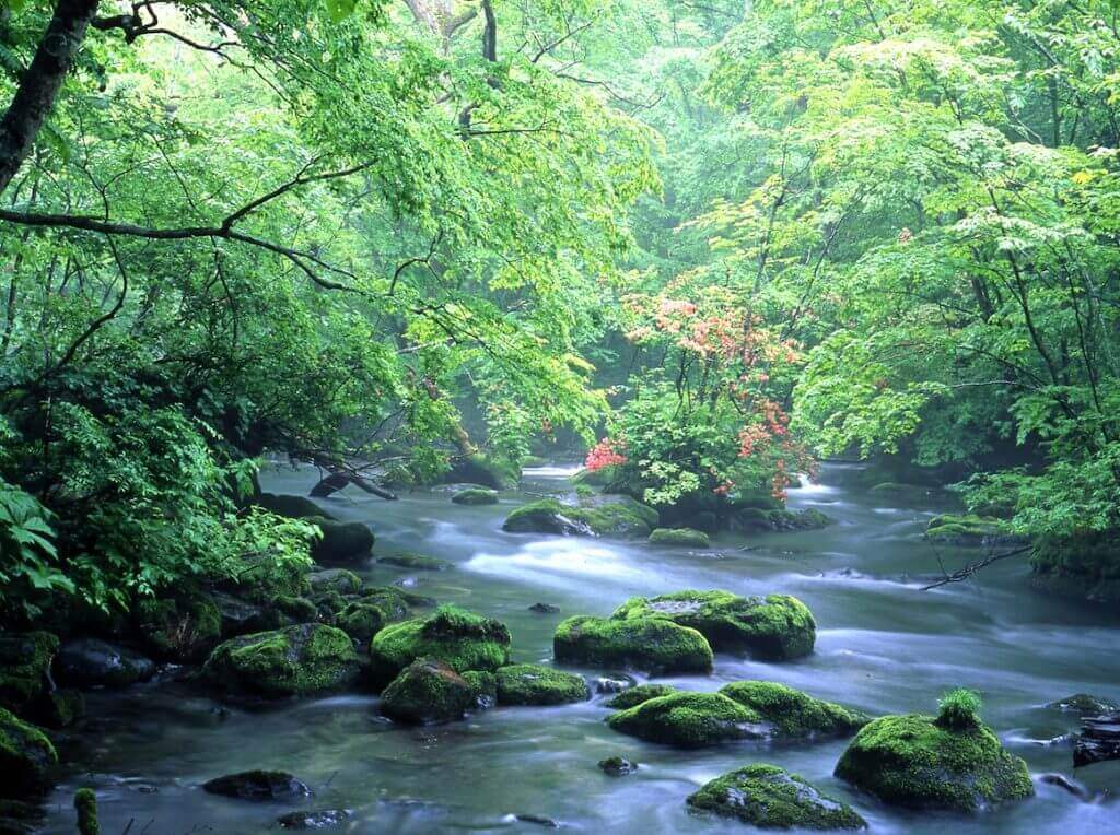 Oirase Gorge / TOWADA CITY