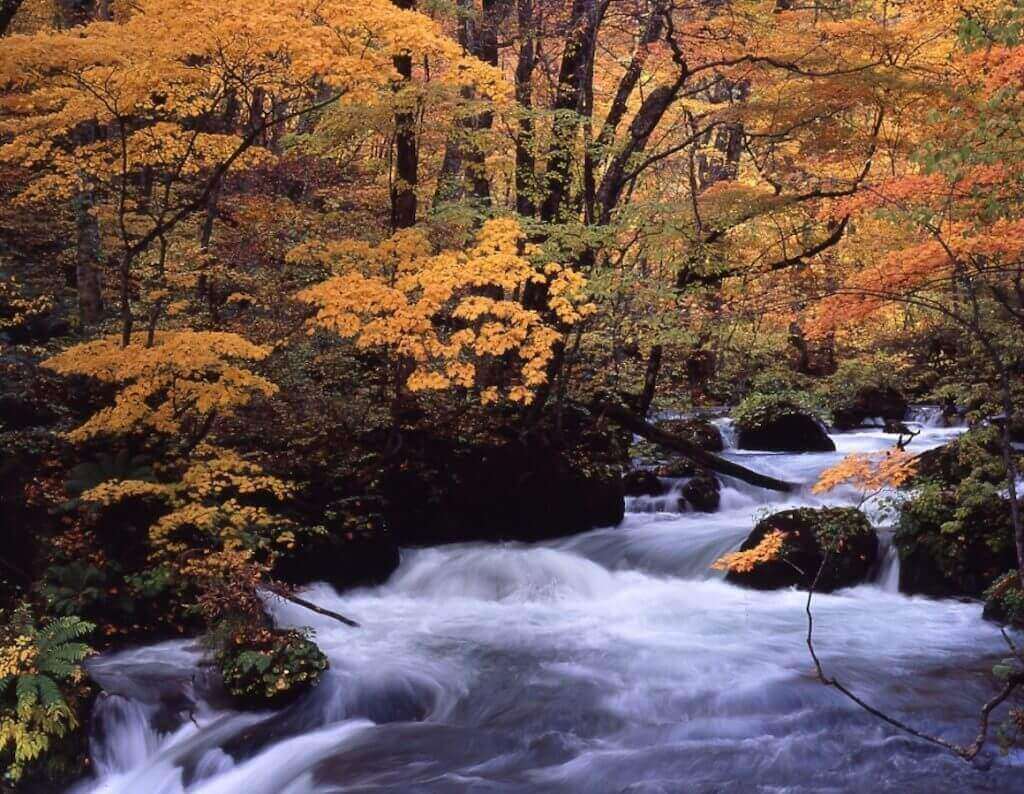 Oirase Gorge / TOWADA CITY